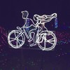 时逢春天