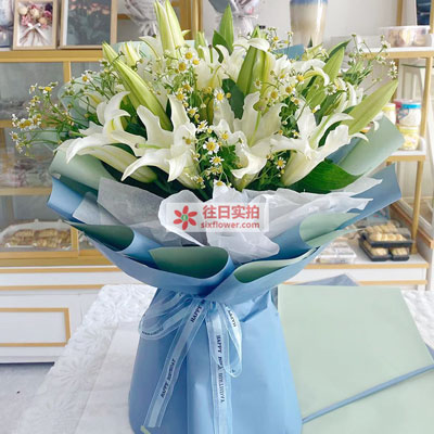保定8支白色多头百合洋甘菊，互倾的思念