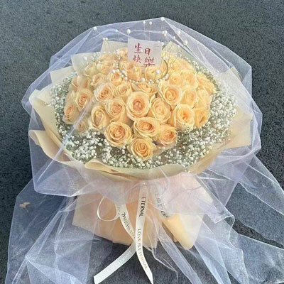保定52朵香槟玫瑰满天星，你就是我的全部
