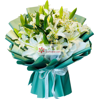 保定8支白色多头百合洋甘菊，如潮的思念