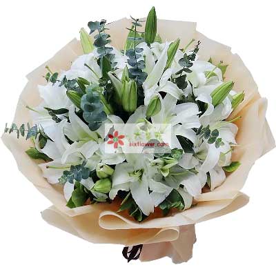 保定9支白色多头百合，祝福你幸福